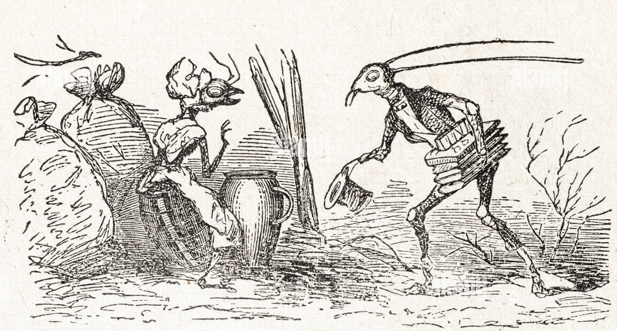 Lire la suite à propos de l’article « Les boulangers et leur pain allégé ». Fable moderne.