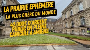 Lire la suite à propos de l’article La prairie éphémère la plus chère du monde est à Amiens