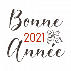 Lire la suite à propos de l’article Bonne année 2021