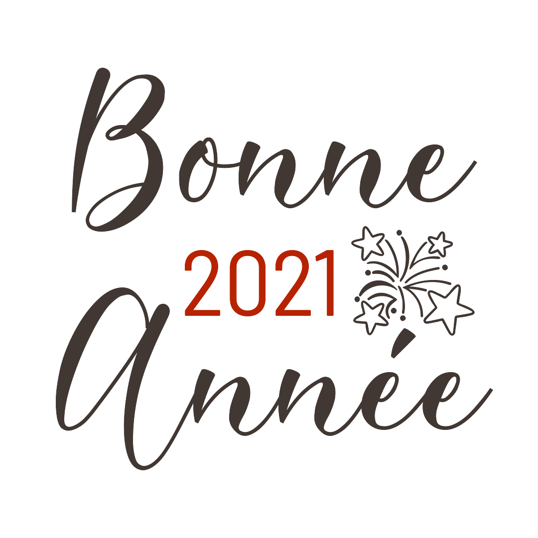 Lire la suite à propos de l’article Bonne année 2021