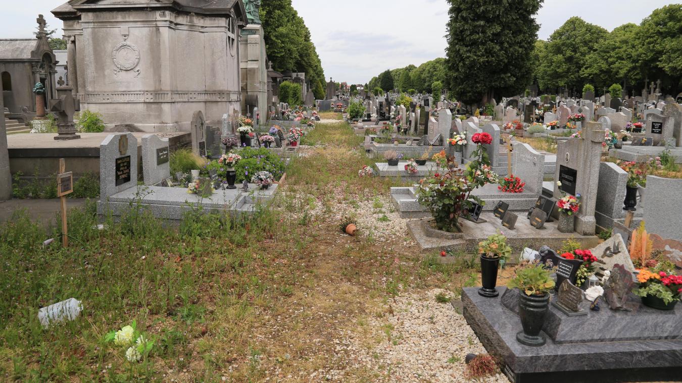 Lire la suite à propos de l’article Les espaces verts sont laissés à l’abandon à Amiens